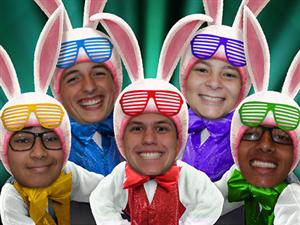 Every Bunny, Dance! 